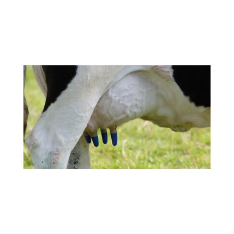 T-Hexx Dry External Teat Dip 1ltr - Image 2